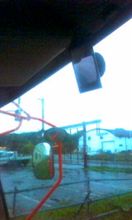 雨デスねぇ…