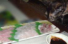 釣り後の楽しみ♪