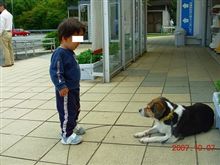 終わってしまった&#176;。゜(#￣ ▽.￣#) ボッケー&#176;。