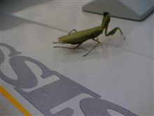 京都オフのほんのちょっと。