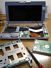ばいお復活