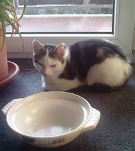 今日、休んでいます。