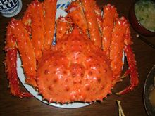 カニかに蟹