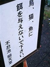 ドコだ？