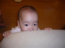 こらっ！すばるぅ！