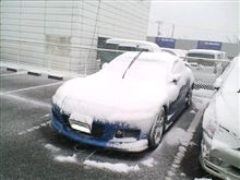 今年は、白まみれになるのかな？