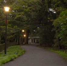 紅葉はまだかな？