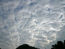 変な天気(￢＿￢)