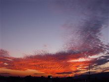 今日の夕日！今見れば見れます！