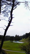 今日のは…