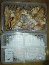 ようやく念願のウマウマ(＾＾)
