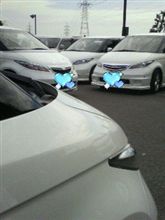 ｷﾀｷﾀ━━(゜∀゜)━━!!!!!