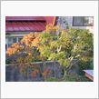 １０月１４日　一段と寒い日曜 ...