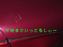 電動シャッターめ！