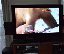 TVのインチアップ完了!!