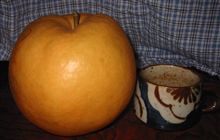 そりゃ大きいほうが・・(*^。^*)ポッ