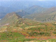 白山の紅葉【観光新道】