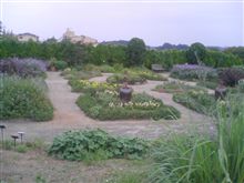 ハーブ園 ハーブ園