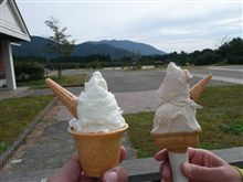メタセコイアリベンジ！