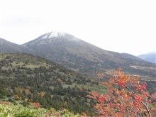まさか、コノ時期に雪を見るとは。。。