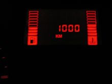 カングー、１０００ｋｍ突破！！