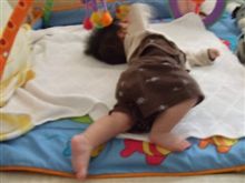 ホイホイの決定的瞬間