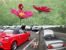 昭和記念公園プチオフ