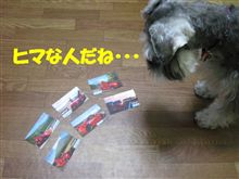 名刺作成中・・・