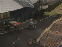 逃した獲物・・・