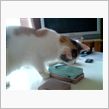 っつうか.....聞けよ