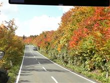 八甲田山紅葉圧巻でした＼(^O^)／