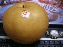 秋の便り