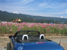複数画像の張り方は？