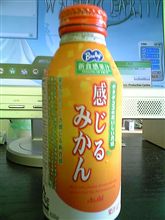 今日の飲み物