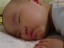 弐号ちゃん…発熱…再び…