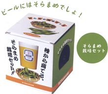 そらまめ