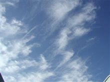 久しぶりの　青空で・・・・やる気マンマン！！。