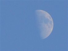 透け透けで(&#180;･∀･｀)ﾆﾔﾆﾔ