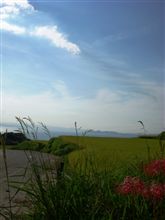 季節はずれの花火