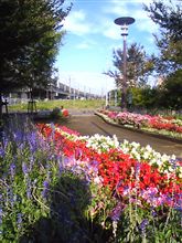 お出かけ日和な朝