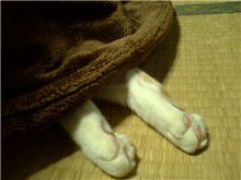 魅惑の