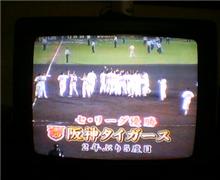 阪神タイガース優勝～！！！