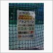 中日・リーグ優勝で・・・