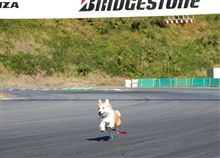 ランちゃん 本庄サーキットデビュー！！