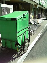 最近のクロネコさん