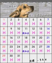 私もやってみました