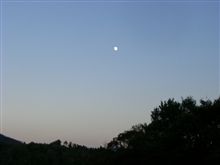 十三夜