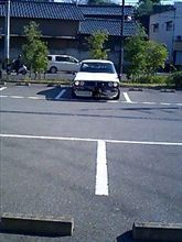 又知らないのみっけ
