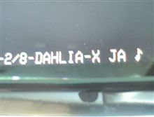 DHALIA～？