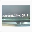 DHALIA～？